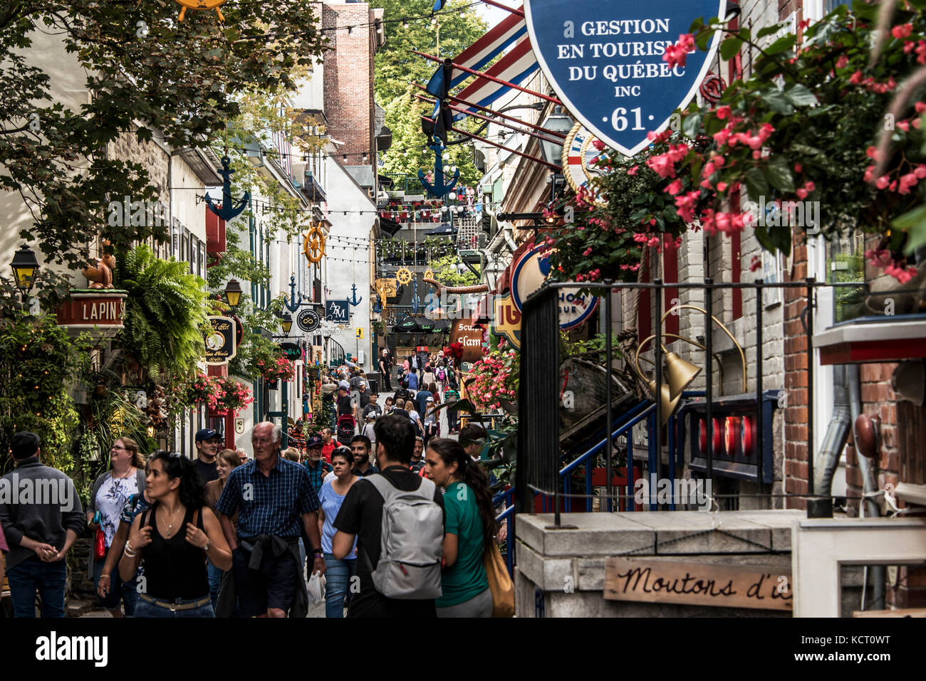 La ville de Québec canada 13.09.2017 les gens dans la basse-ville le vieux Québec, l'une des attractions touristiques est un site du patrimoine mondial de l'UNESCO Banque D'Images