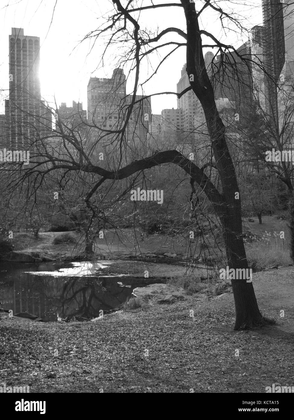 B&W de Central Park, New York, en direction du sud vers 59th St. à l'automne. Banque D'Images
