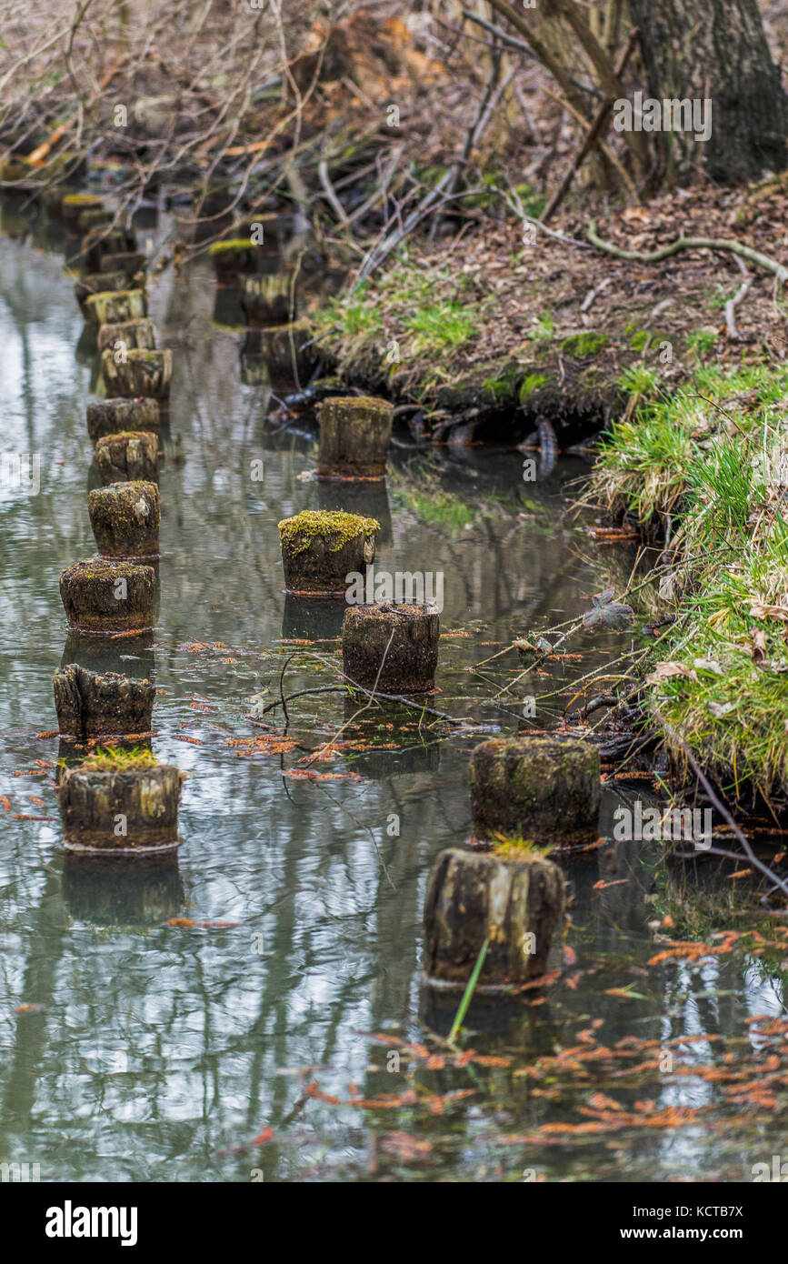 Canal À Spreewald, Brandebourg, Allemagne Banque D'Images