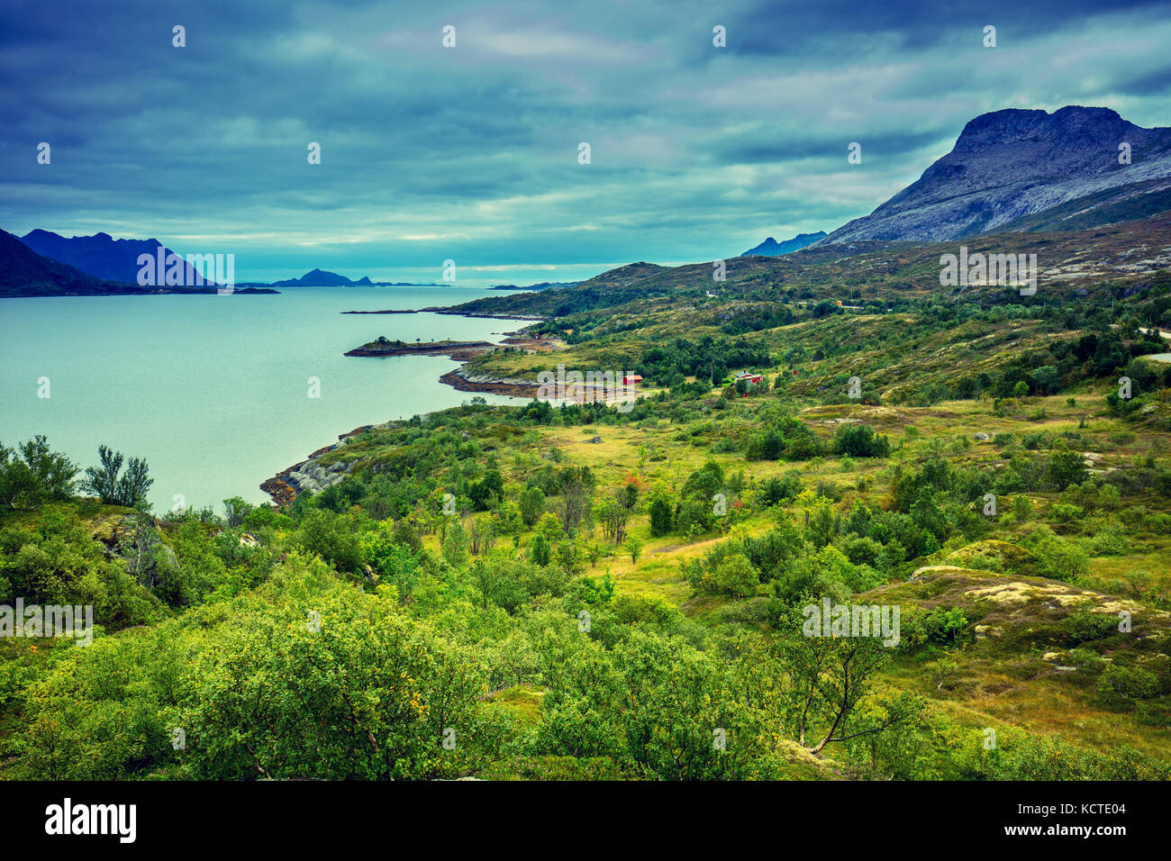 Vue sur le fjord. Rocky seashore avec bleu ciel nuageux. La belle nature de la Norvège. Marée basse mer Banque D'Images