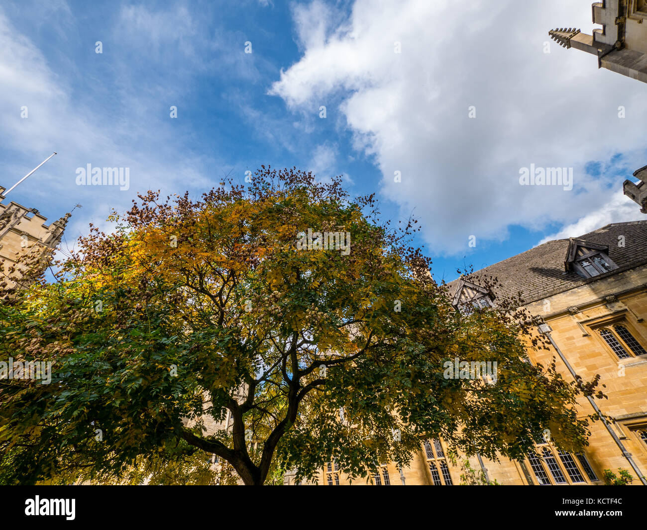 Quad St Johns, Magdalen College, Université d'Oxford, Oxford, Oxfordshire, Angleterre Banque D'Images Quad St Johns, Magdalen College, Université d'Oxford, Oxford, Oxfordshire, Angleterre Banque D'Images