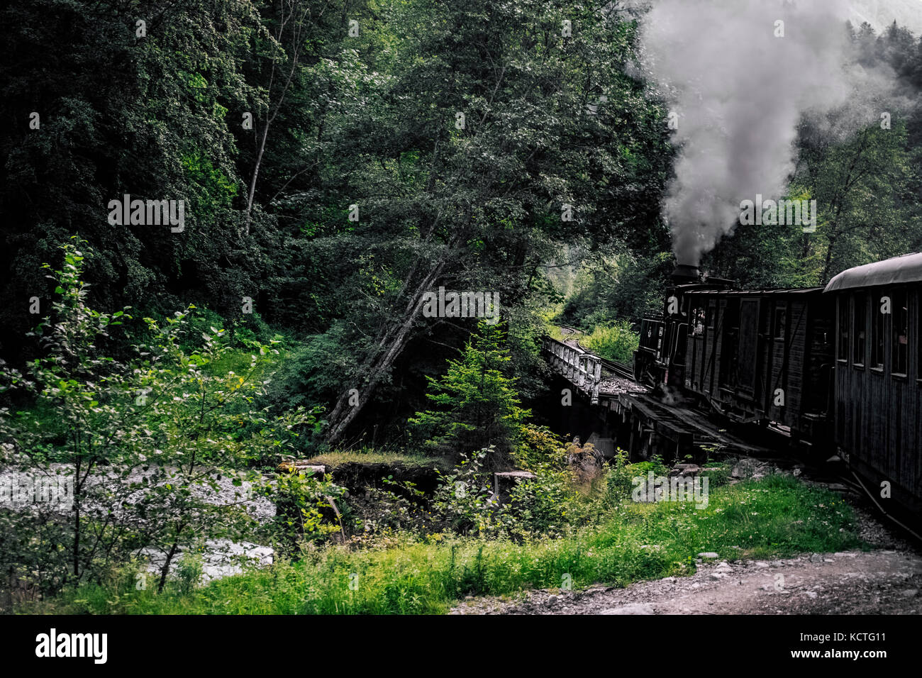 Vue panoramique de Steam Locomotive Crossing Bridge à travers la forêt verte luxuriante avec perspective de train décroissante Banque D'Images Vue panoramique de Steam Locomotive Crossing Bridge à travers la forêt verte luxuriante avec perspective de train décroissante Banque D'Images