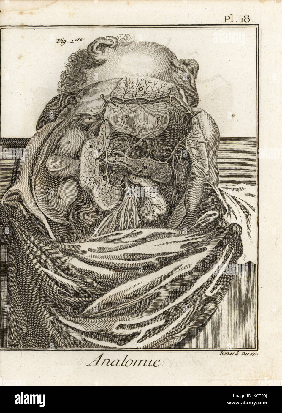 Le duodénum, le foie, le pancréas, et les autres organes de l'abdomen inférieur après Albrecht von Haller. La gravure sur cuivre par Robert Benard de Denis Diderot's Encyclopedia, Pellet, Genève, 1779. Banque D'Images