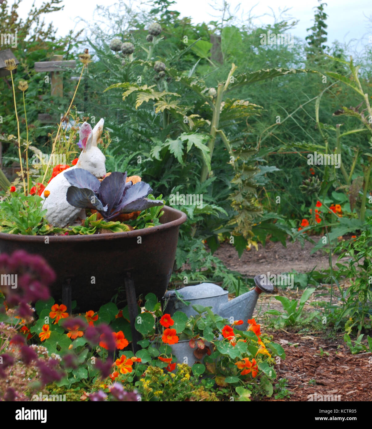 Jardin d'enfants - Vallée de la Skagit, Washington State, USA Banque D'Images