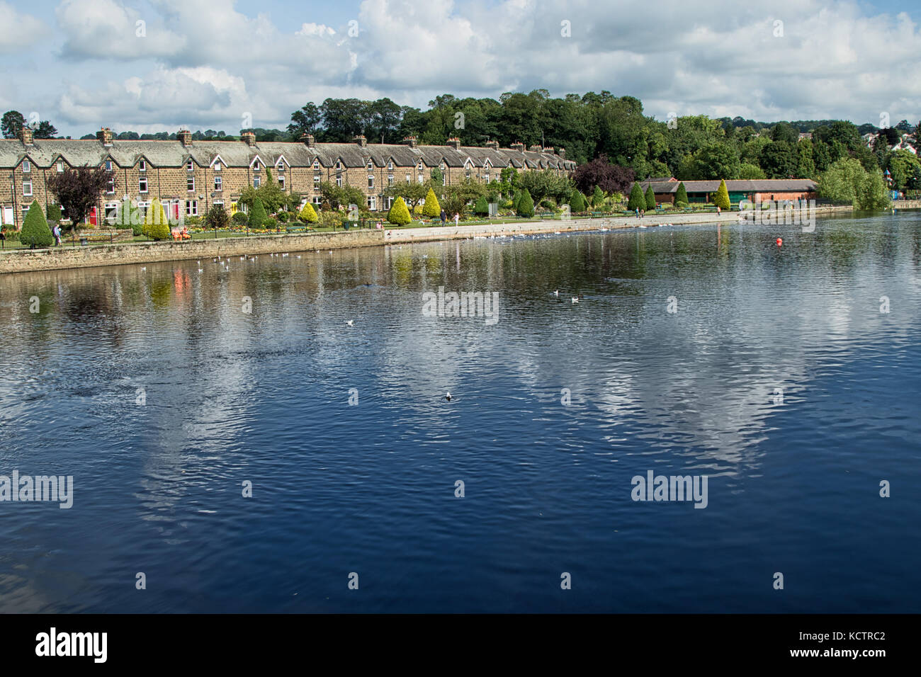 River Wharfe,Oakwood Park, Otley, West Yorkshire, Angleterre, Royaume-Uni. Banque D'Images