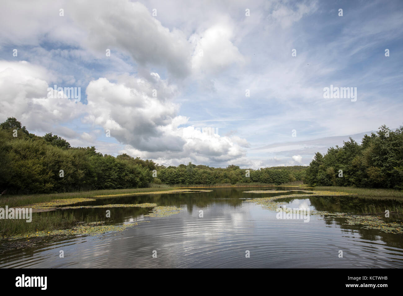 Le lac inférieur, Penllergare Valley, Swansea, Wales, UK Banque D'Images