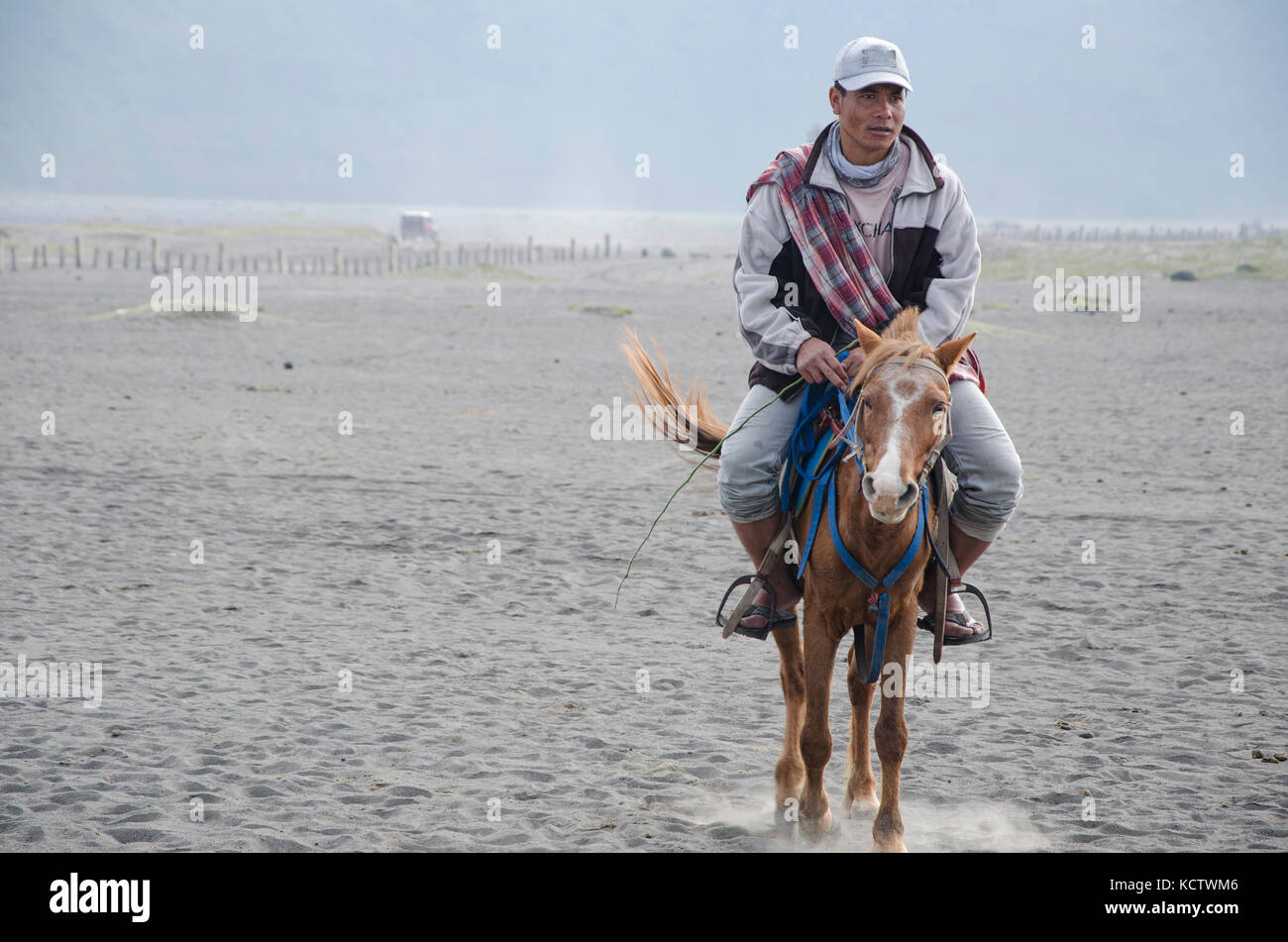 Cavalier cheval au bromo Tengger Banque D'Images