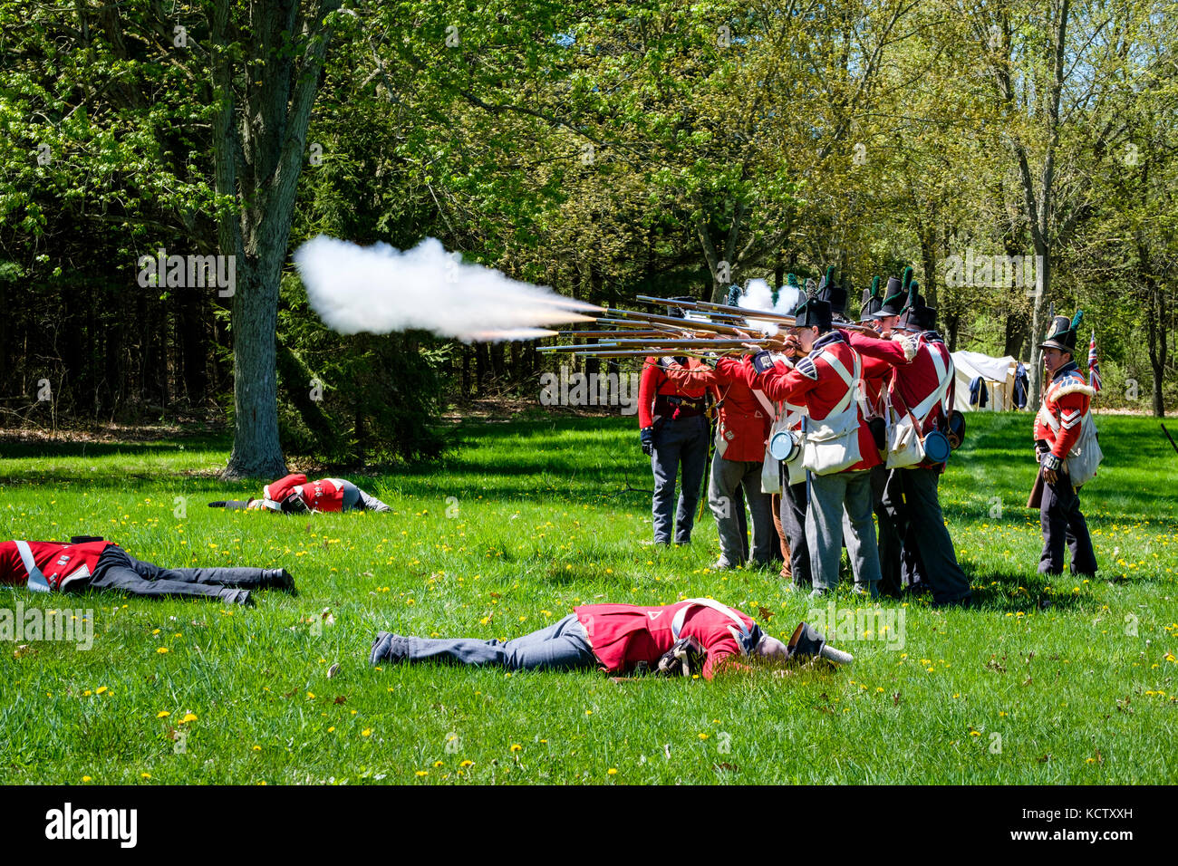 Reconstitution de la Bataille de Longwoods, guerre anglo-américaine de 1812, mars 1814, les troupes britanniques fusils de tir sur le champ de bataille, le Delaware, l'Ontario, Canada. Banque D'Images