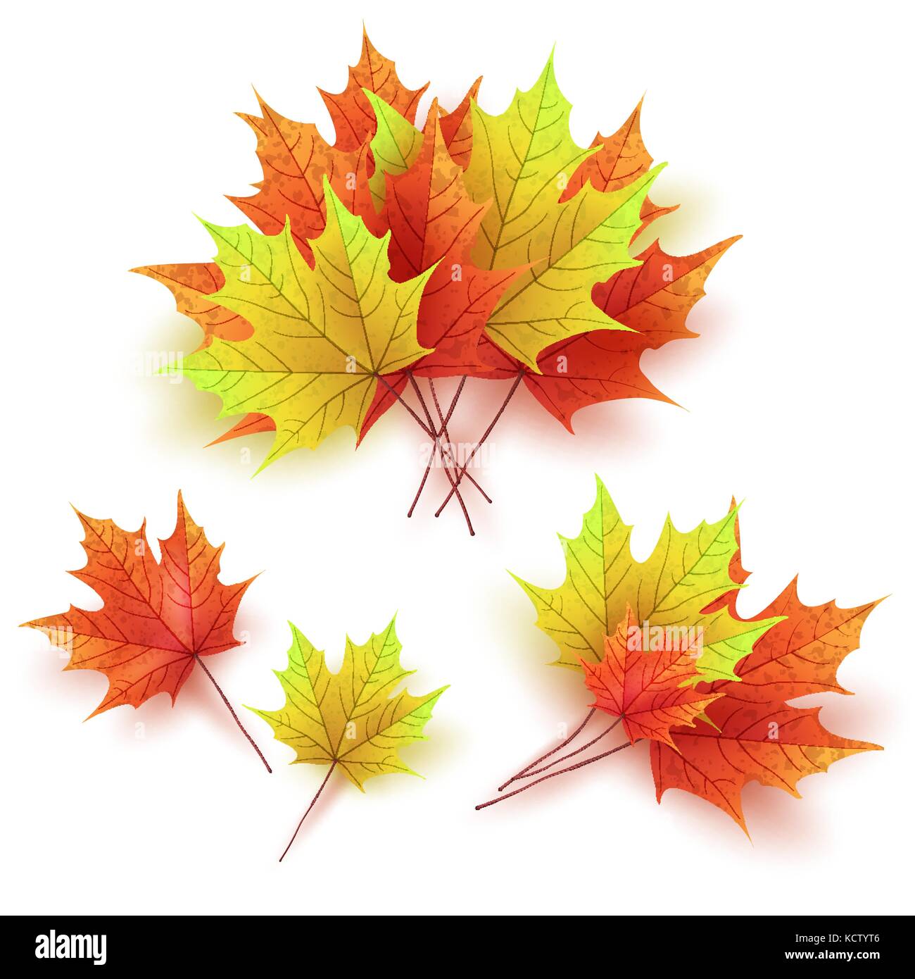 Les feuilles d'automne. bright colorful automne feuilles d'érable. template fo Illustration de Vecteur