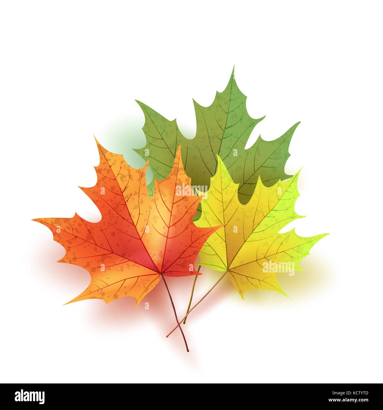 Les feuilles d'automne. bright colorful automne feuilles d'érable. template fo Illustration de Vecteur