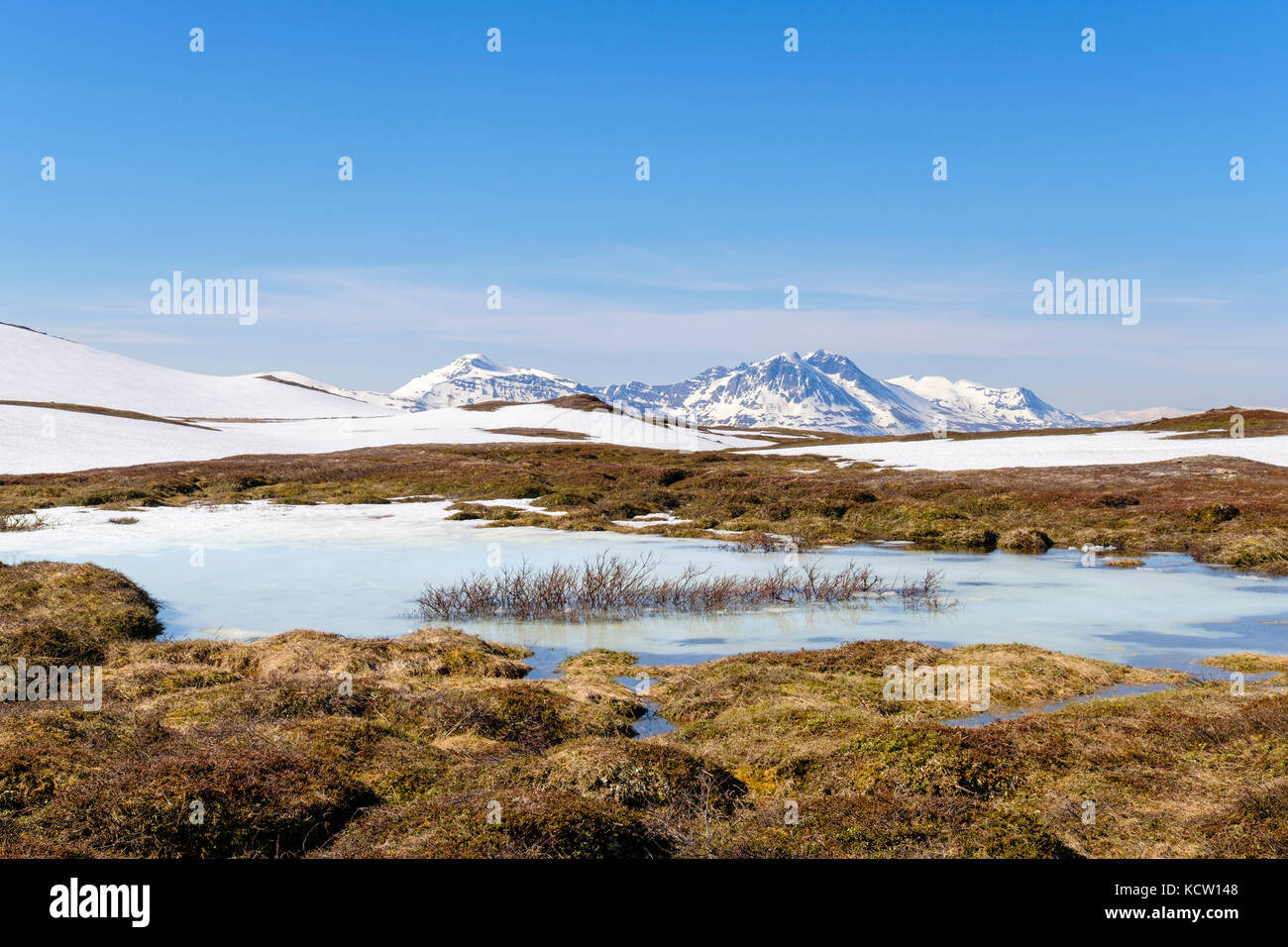 Étang gelé dans la toundra arctique élevé sur le mont Storsteinen Paysage en été. Tromso, Troms, Norvège, Scandinavie Banque D'Images