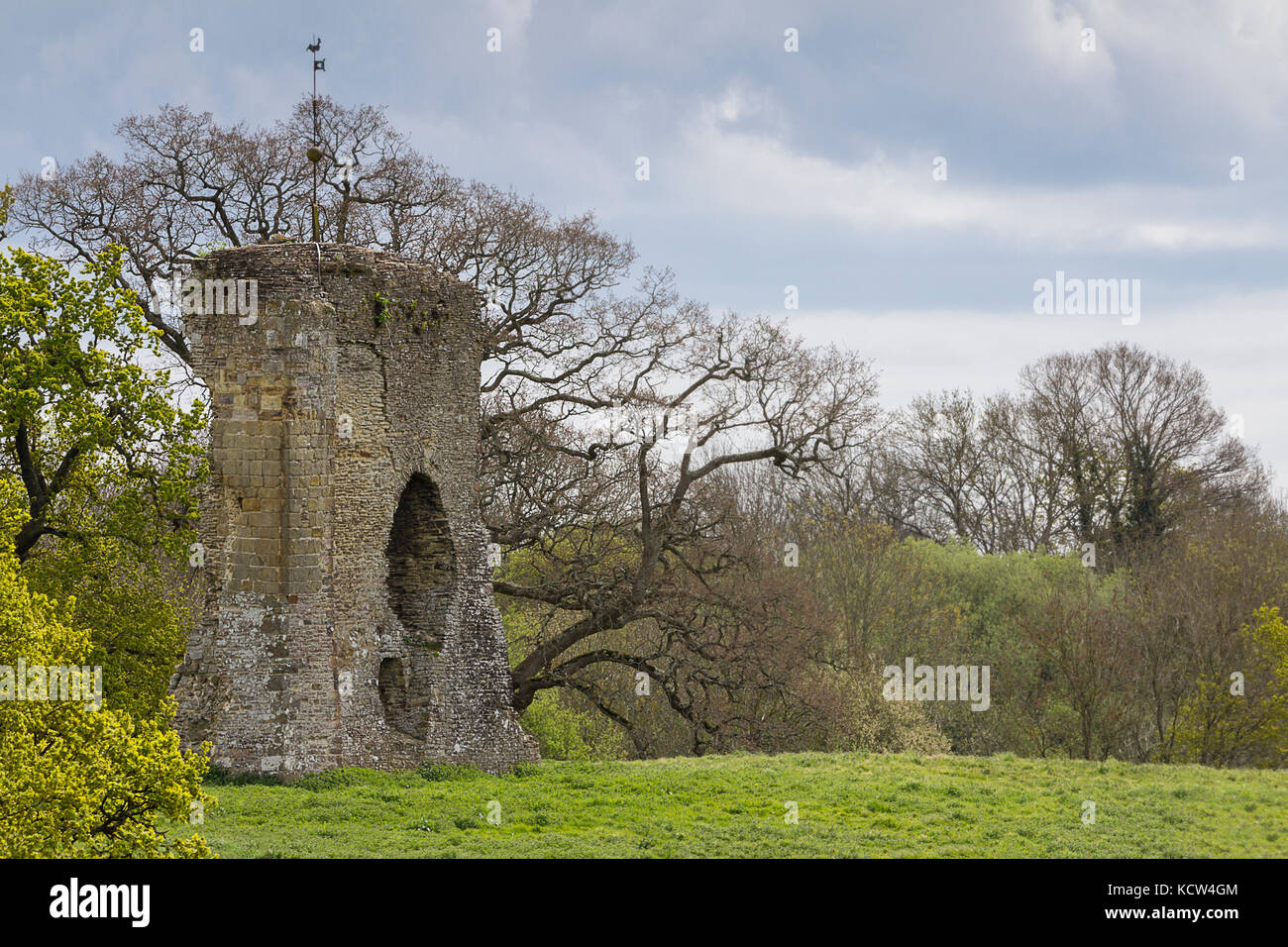 Knepp castle reste à Shipley au large de la 264 par au passage à Worthing. Construit en 1125 par Robert de Harcourt le Fort (le fort) comme un château défensif. Banque D'Images