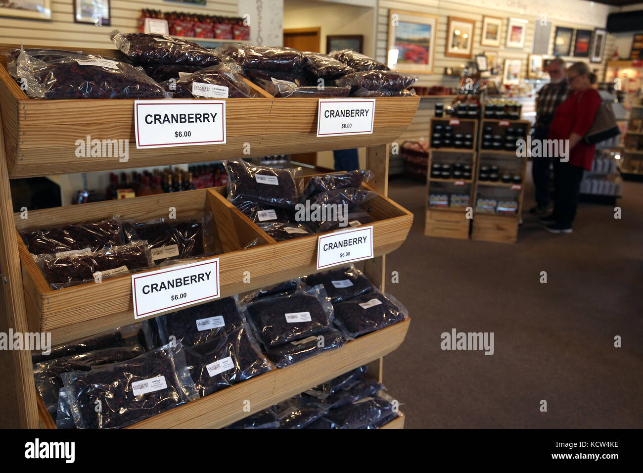 Les canneberges sont récoltées autour de Garennes et Tomah, Wisconsin en octobre. Banque D'Images