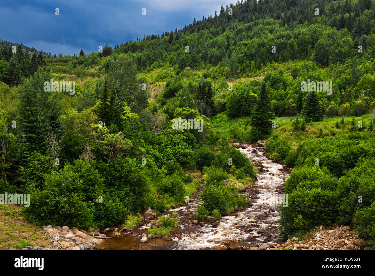 Rivière dans les laurentides , parc national des Laurentides, Québec