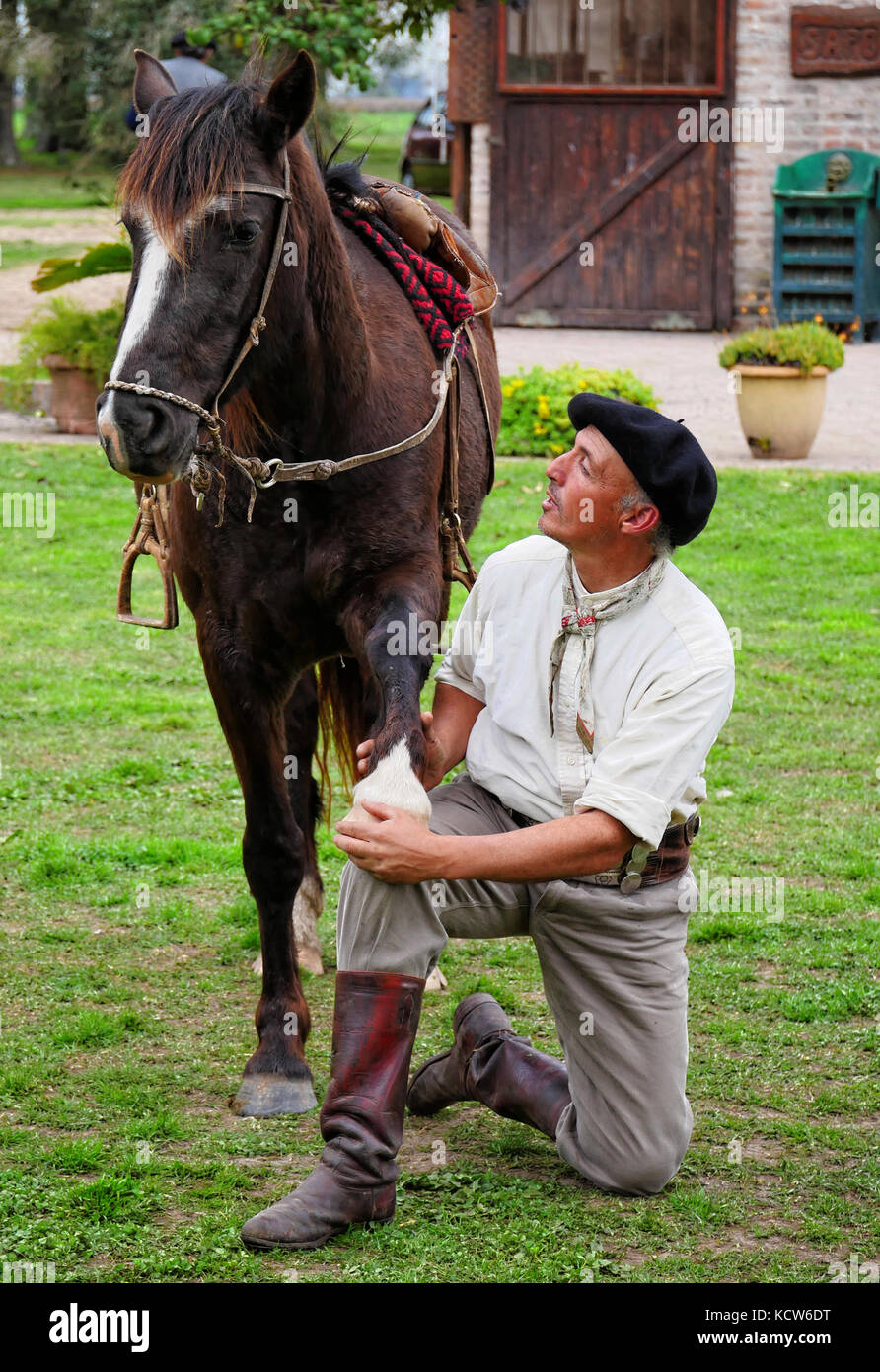 Cheval d'Indien taming (cheval yoga) avec gaucho estancia nr. Buenos Aires, Argentine Banque D'Images