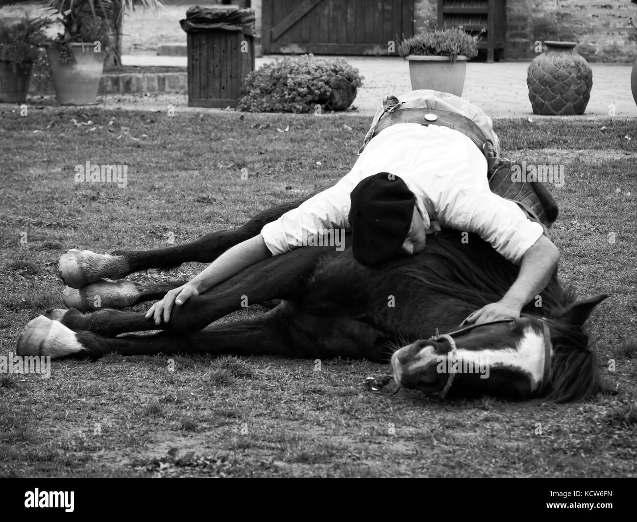 Cheval d'Indien taming (cheval yoga) avec gaucho estancia nr. Buenos Aires, Argentine Banque D'Images