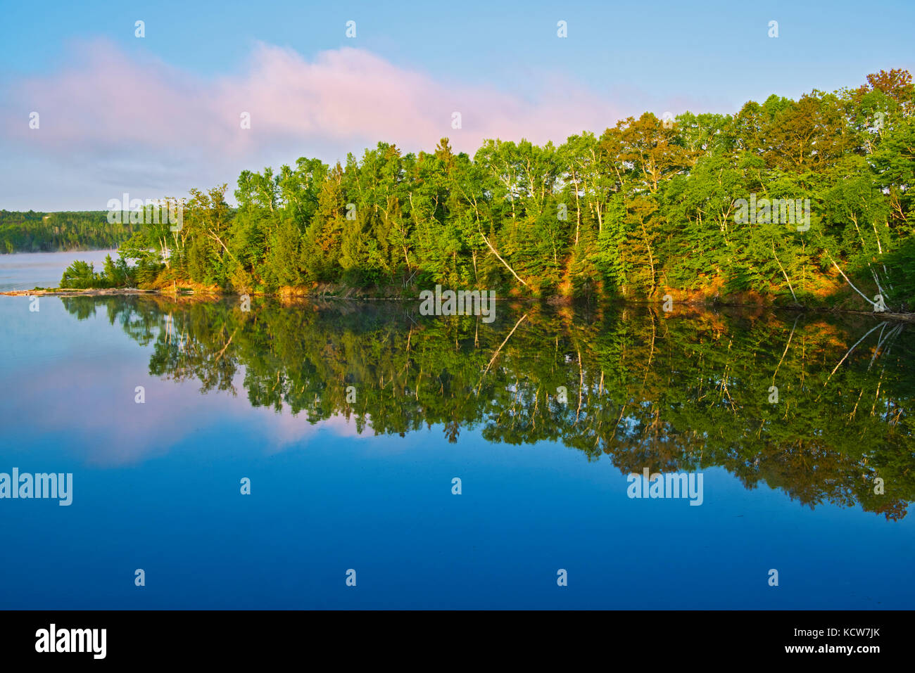 Reflet de l'arbre sur la rivière Saint-Jean, le parc provincial Mactaquac, Nouveau-Brunswick, Canada Banque D'Images