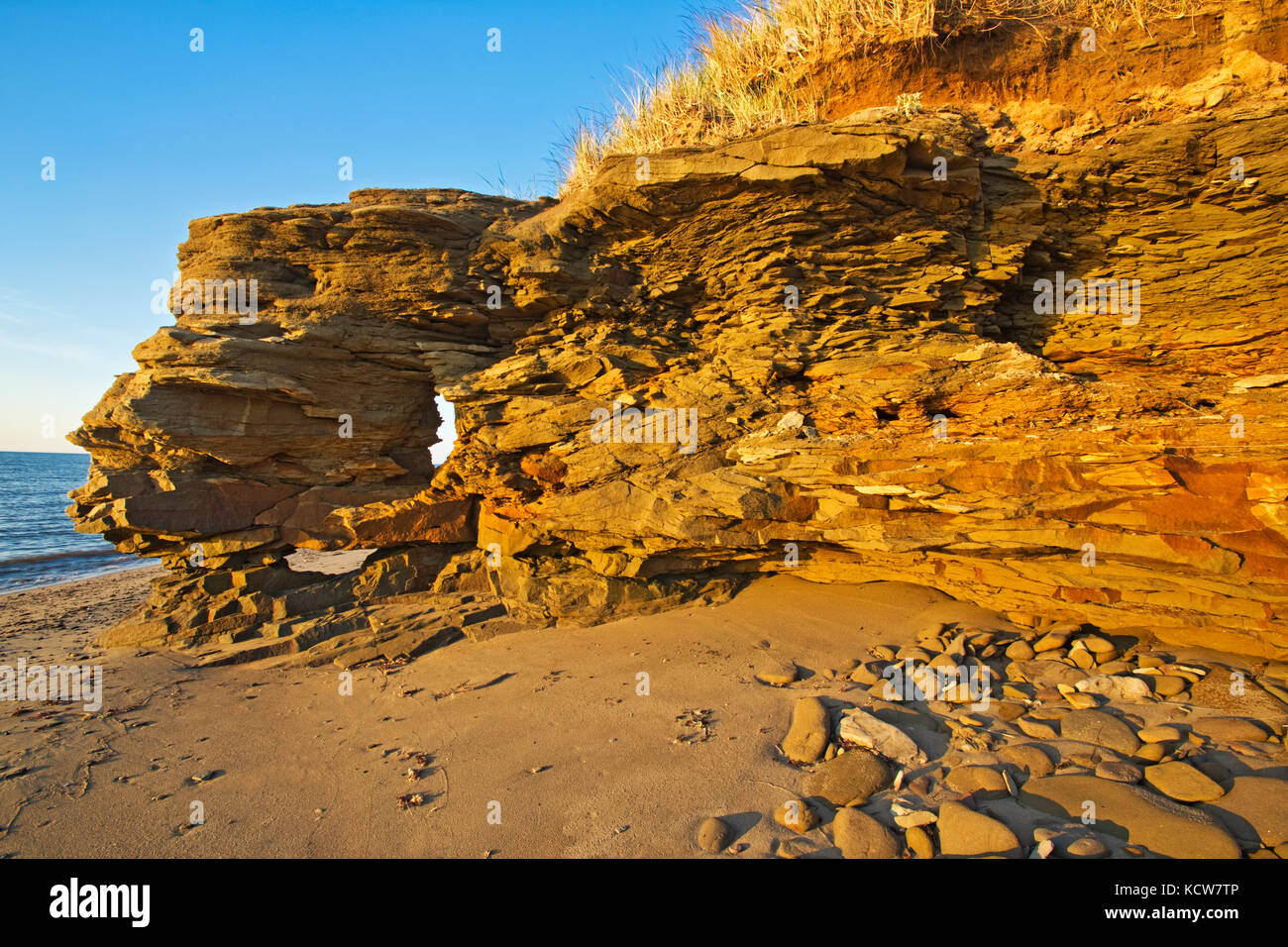 Rivage rocheux le long du golfe du Saint-laurent au lever du soleil, Cap Lumière, Nouveau Brunswick, canada Banque D'Images