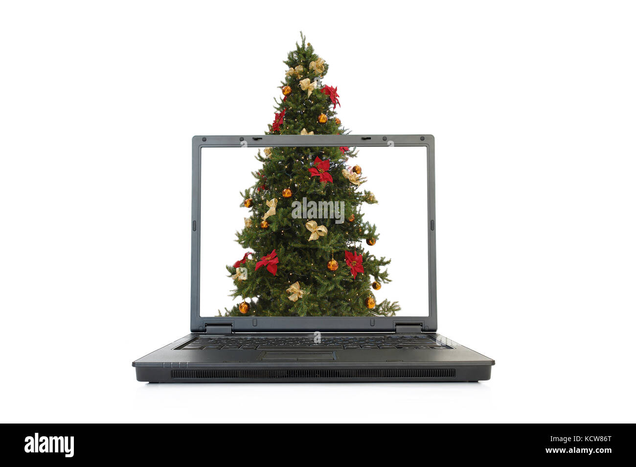 Grand arbre de Noël qui dépasse de l'écran de l'ordinateur portable isolated on white Banque D'Images