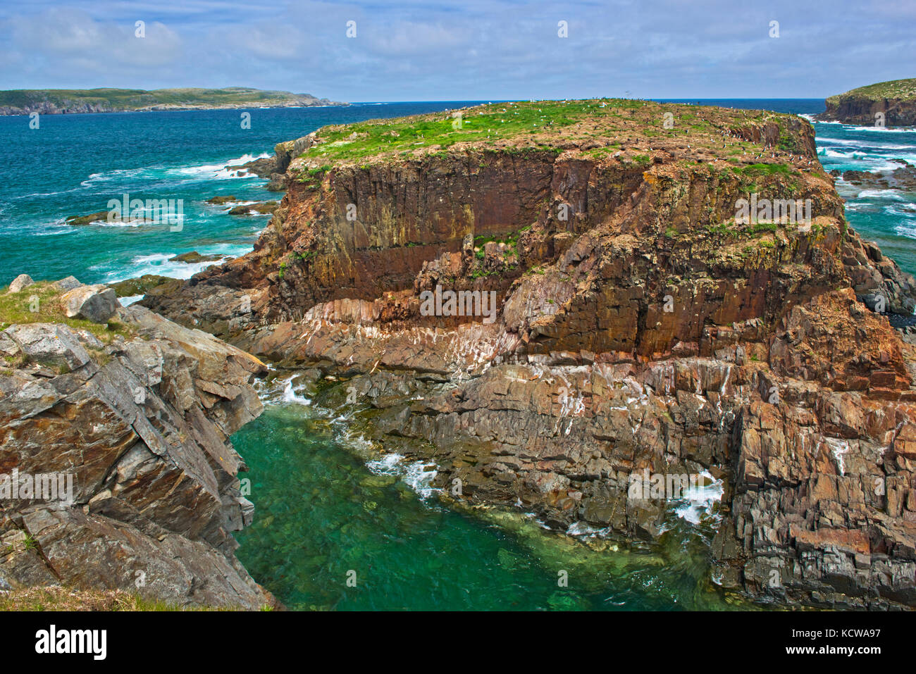 Falaises rocheuses le long de l'océan atlantique, Elliston, Terre-Neuve et Labrador, Canada Banque D'Images
