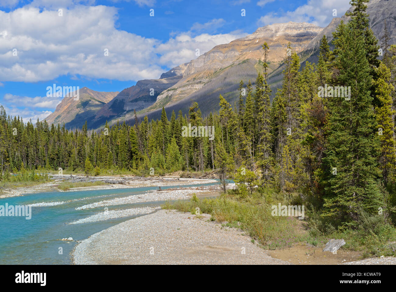 Rivière vermillion et les rocheuses canadiennes, le parc national de Kootenay, Colombie-Britannique, Canada Banque D'Images