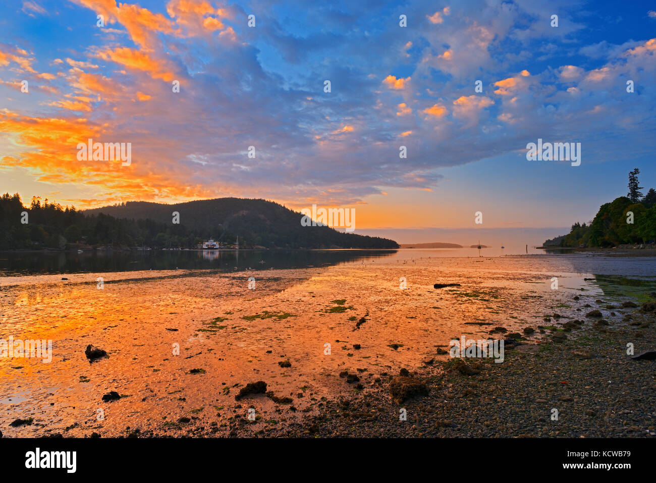 Lever du soleil à Fulford Harbour, parc Drummond, Saltspring Island (îles du golfe), British Columbia, canada Banque D'Images