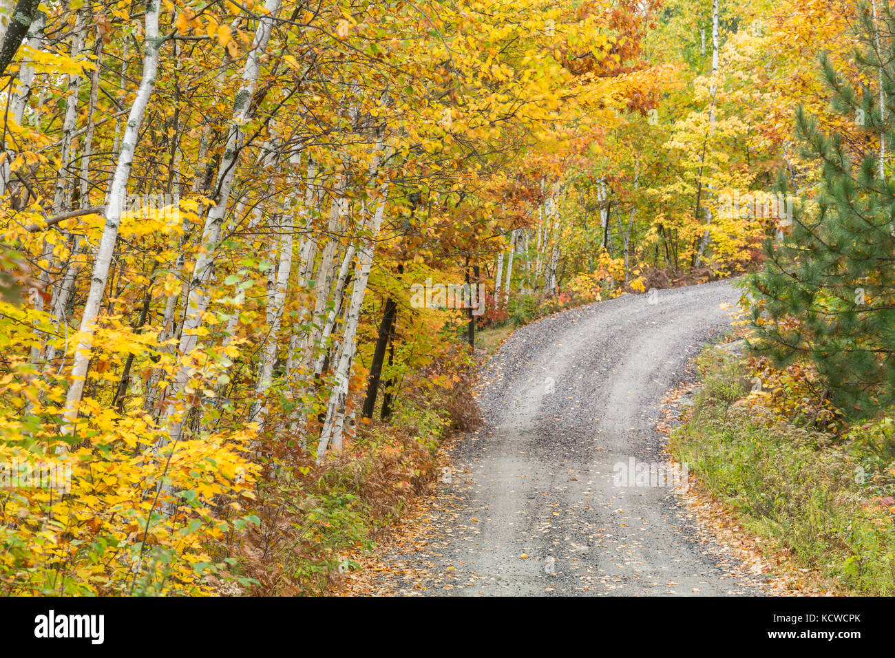 Kasten lake road en automne, Sudbury, Ontario, canada Banque D'Images