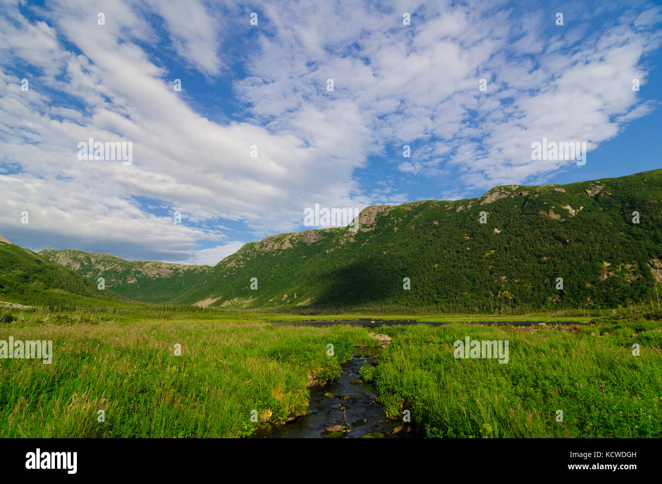 Le parc national du Gros-Morne, UNESCO World Heritage site, Terre-Neuve, Canada Banque D'Images