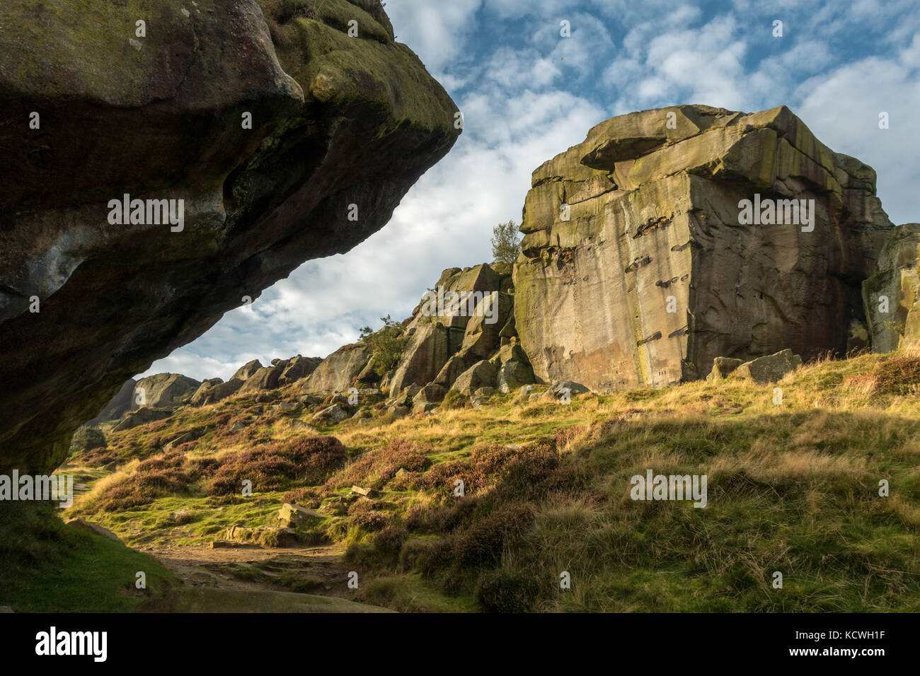 Rare vue sur le célèbre monument de la Vache et son veau Les Roches, Ilkley Moor, Yorkshire Banque D'Images