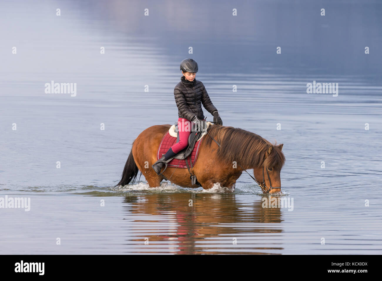 Young teen girl riding horse dans une plage à l'océan Banque D'Images