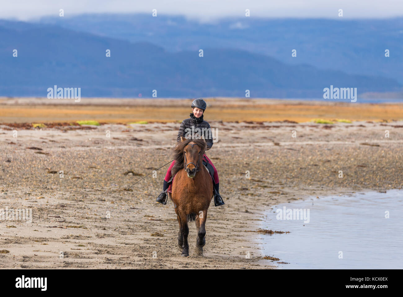 Caucasen Norwegean jeune teen girl riding horse at beach Banque D'Images