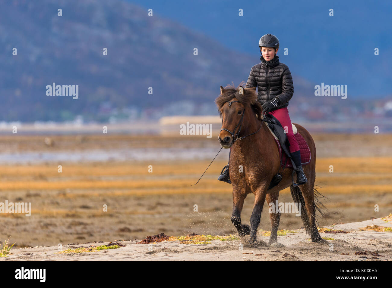 Caucasen Norwegean jeune teen girl riding horse at beach Banque D'Images
