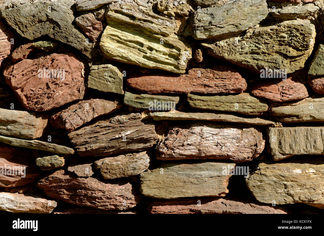 MUR DE PIERRE LOCAL À DEVON ANGLETERRE ROYAUME-UNI Banque D'Images