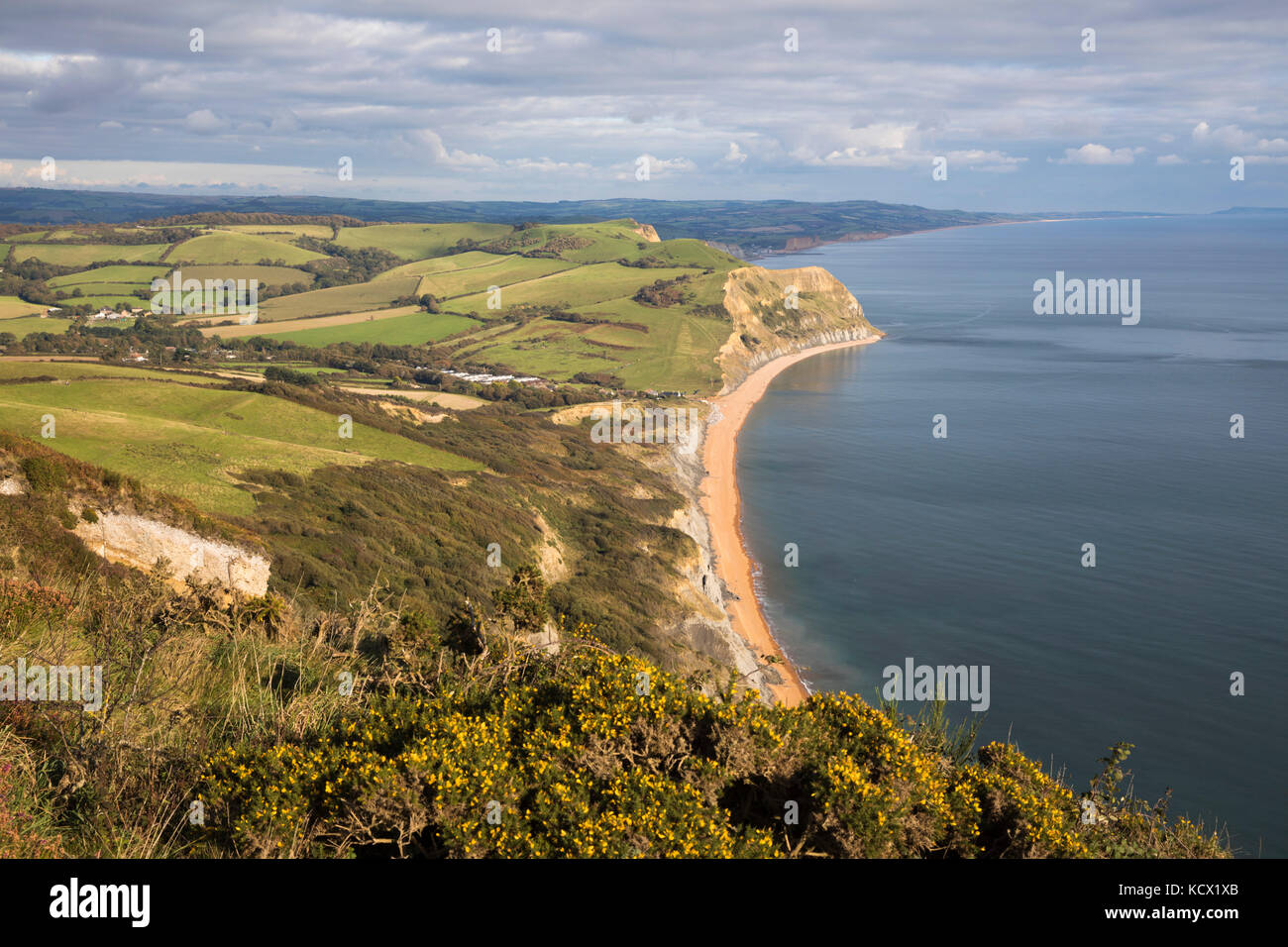 Vue le long de la Côte Jurassique, à l'est à l'Seatown de sommet de Golden Cap, Seatown, Dorset, Angleterre, Royaume-Uni, Europe Banque D'Images