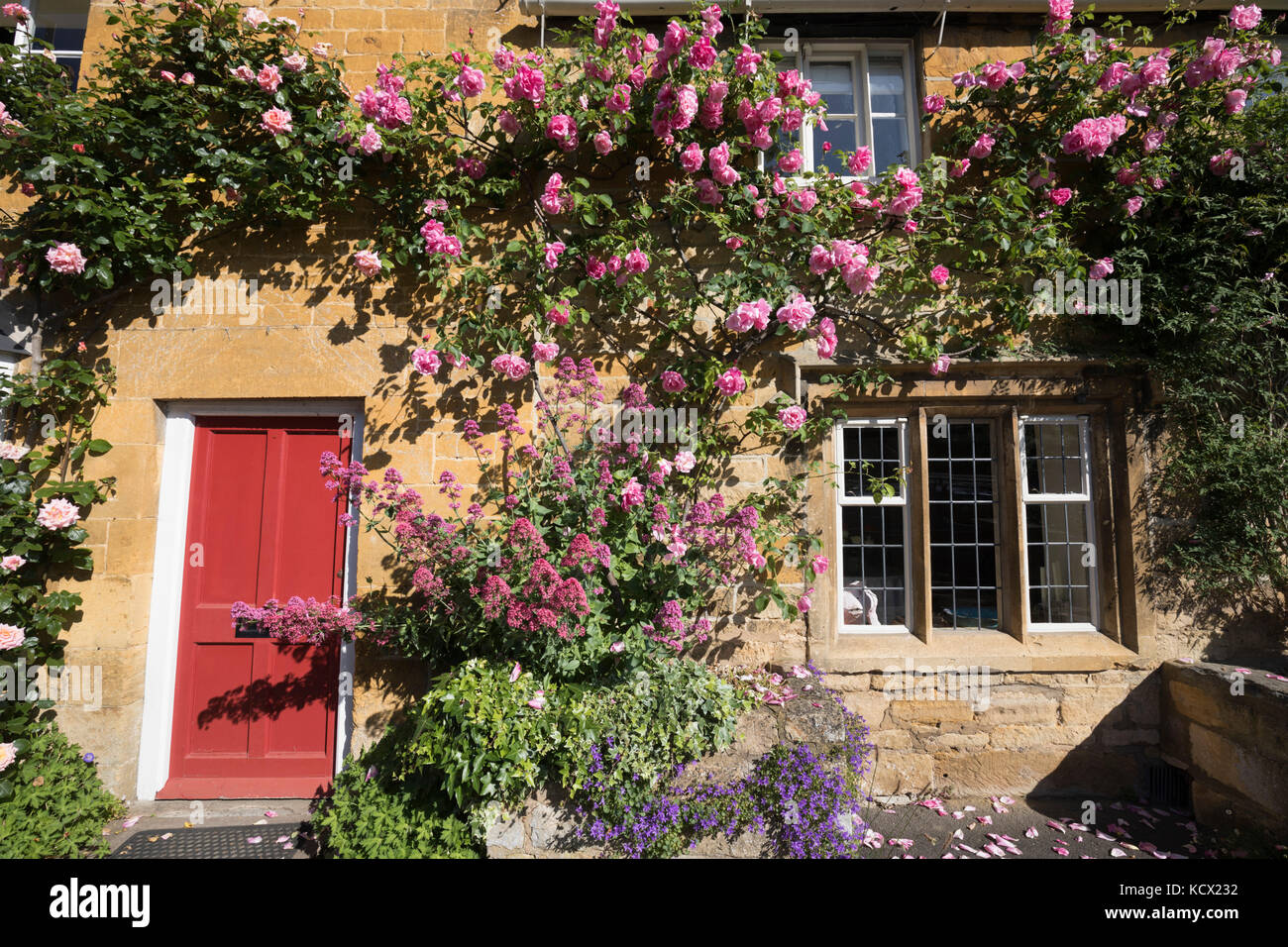 Façade couverte de Rose de Cotswold cottage en pierre le long de High Street, Blockley, Cotswolds, Gloucestershire, Angleterre, Royaume-Uni, Europe Banque D'Images