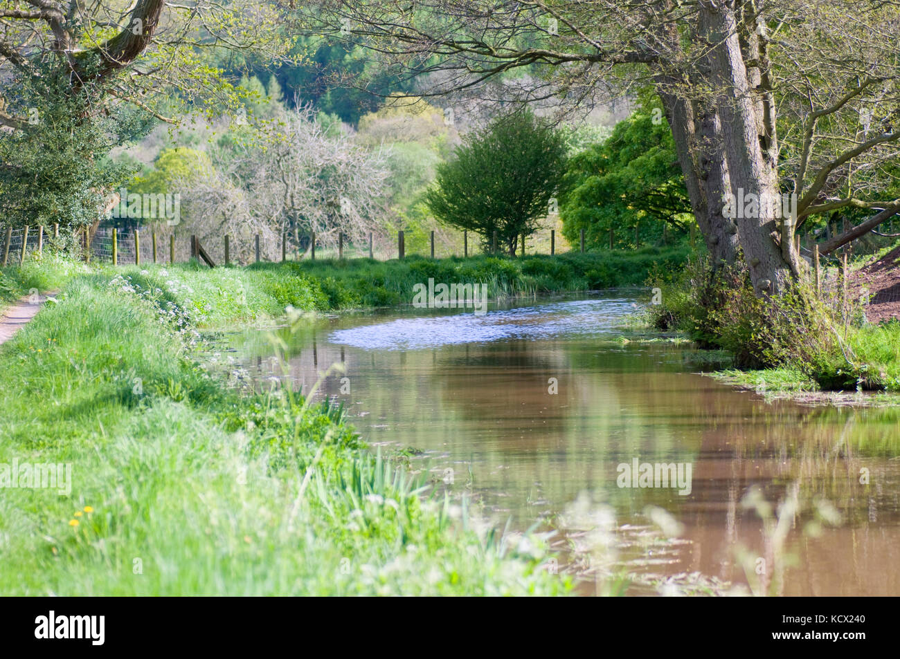 Au printemps dans la rivière du sud du Pays de Galles Brecon Beacons Banque D'Images