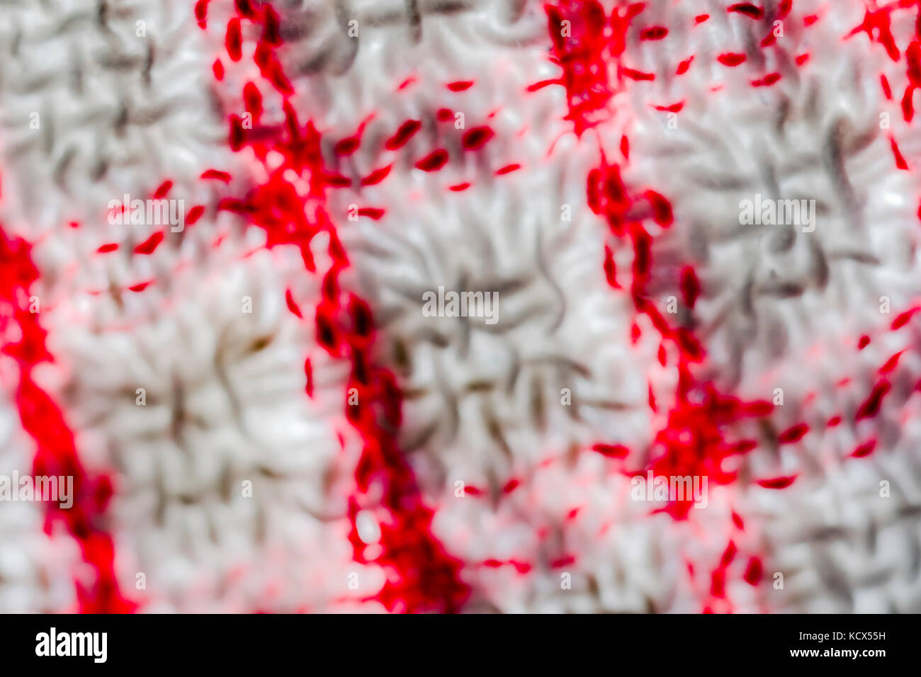 Gros plan, flou, adouci, sur les fils de gauchissement et de trame d'un teacloth rouge et blanc. Résumé rouge. Banque D'Images