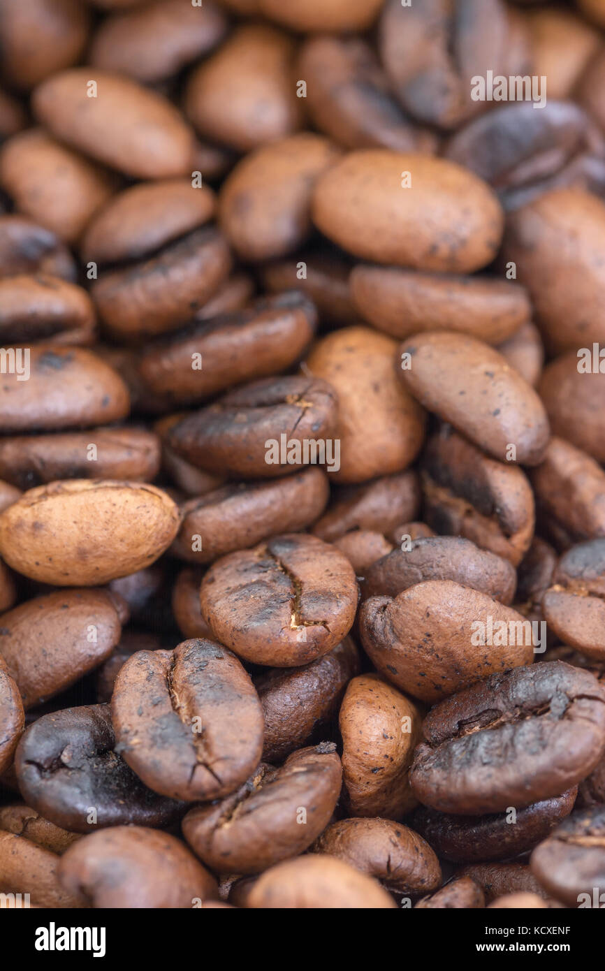 Les grains de café torréfiés extreme close-up, selective focus Banque D'Images