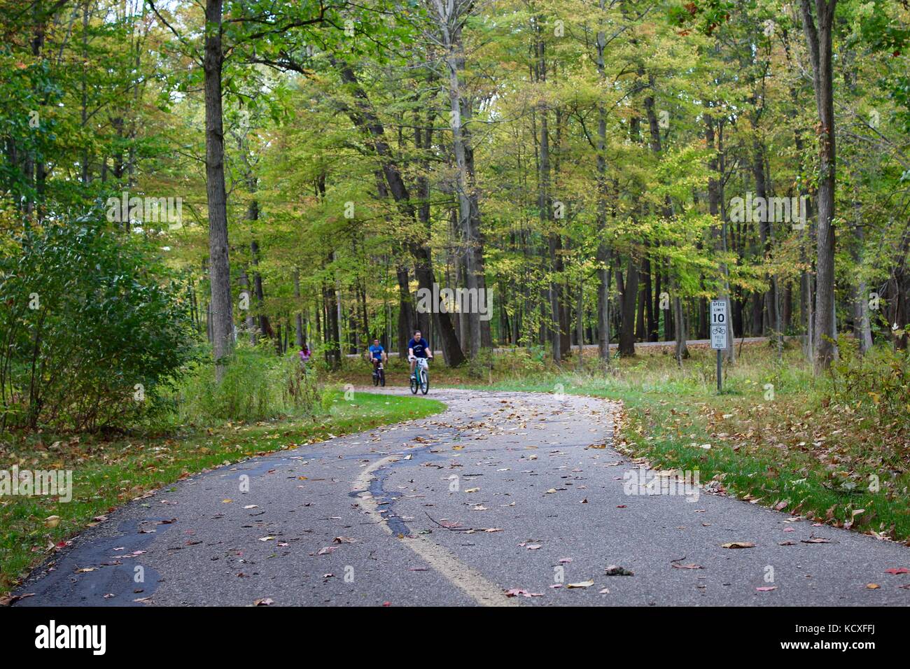 Les personnes bénéficiant de la journée dans les bois sur un sentier de marche et de vélo en famille et amis à l'extérieur dans un parc l'exercice et de conditionnement physique Banque D'Images