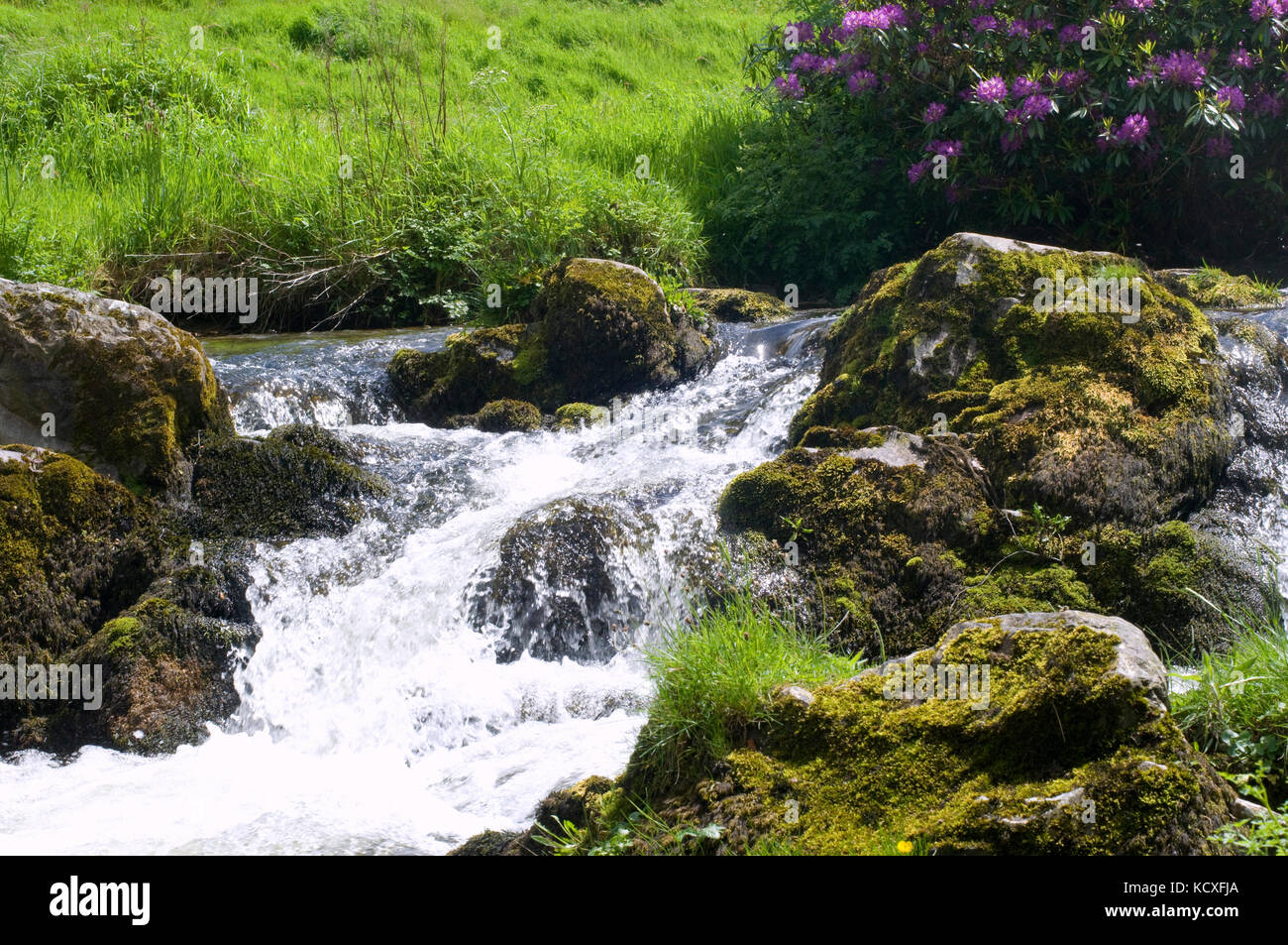 Babillage du ruisseau sur l'eau d'OARE Exmoor Banque D'Images
