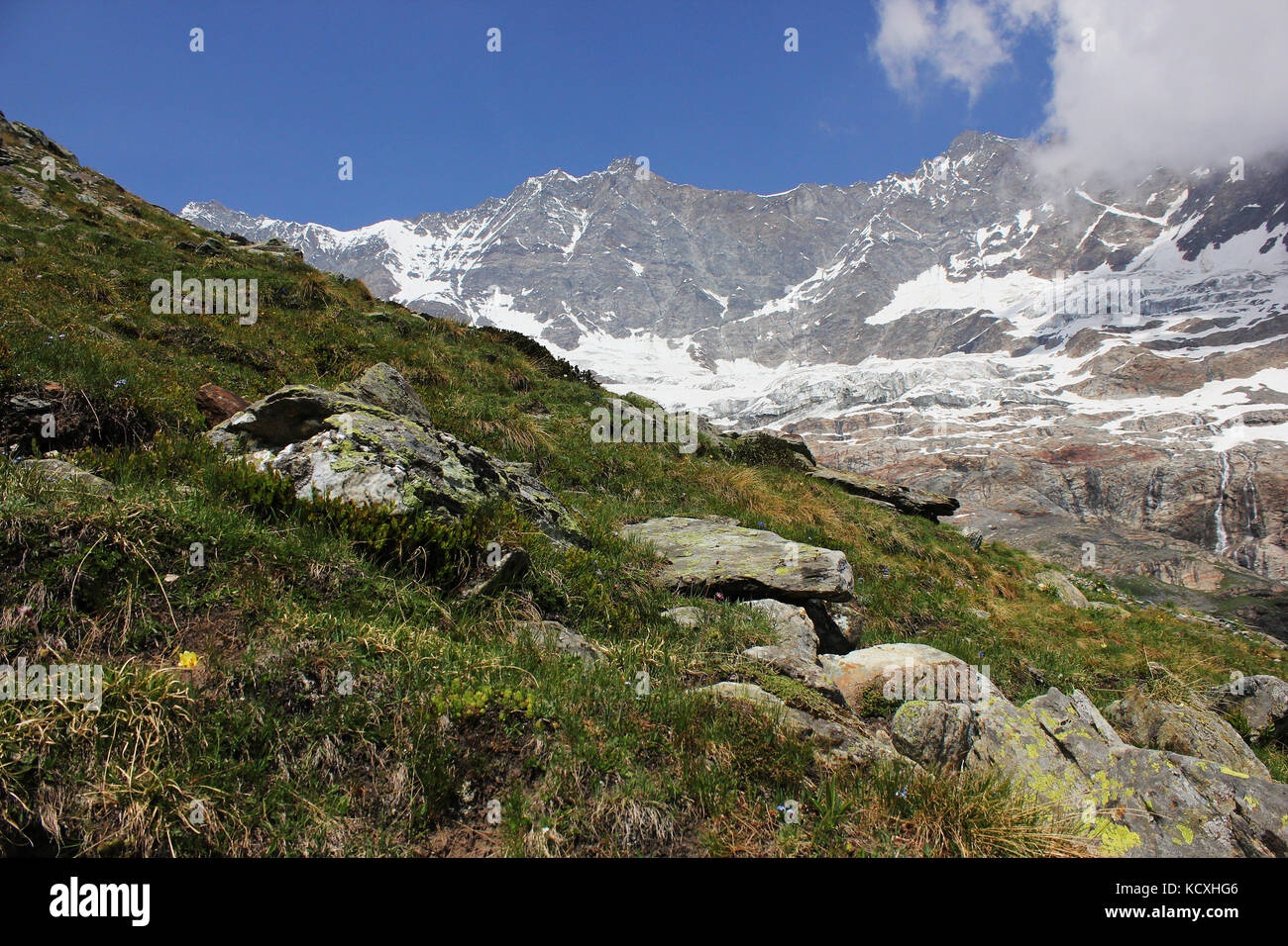 Dom et les montagnes de Saas Fee et les prairies alpines en Valais, Suisse. Banque D'Images