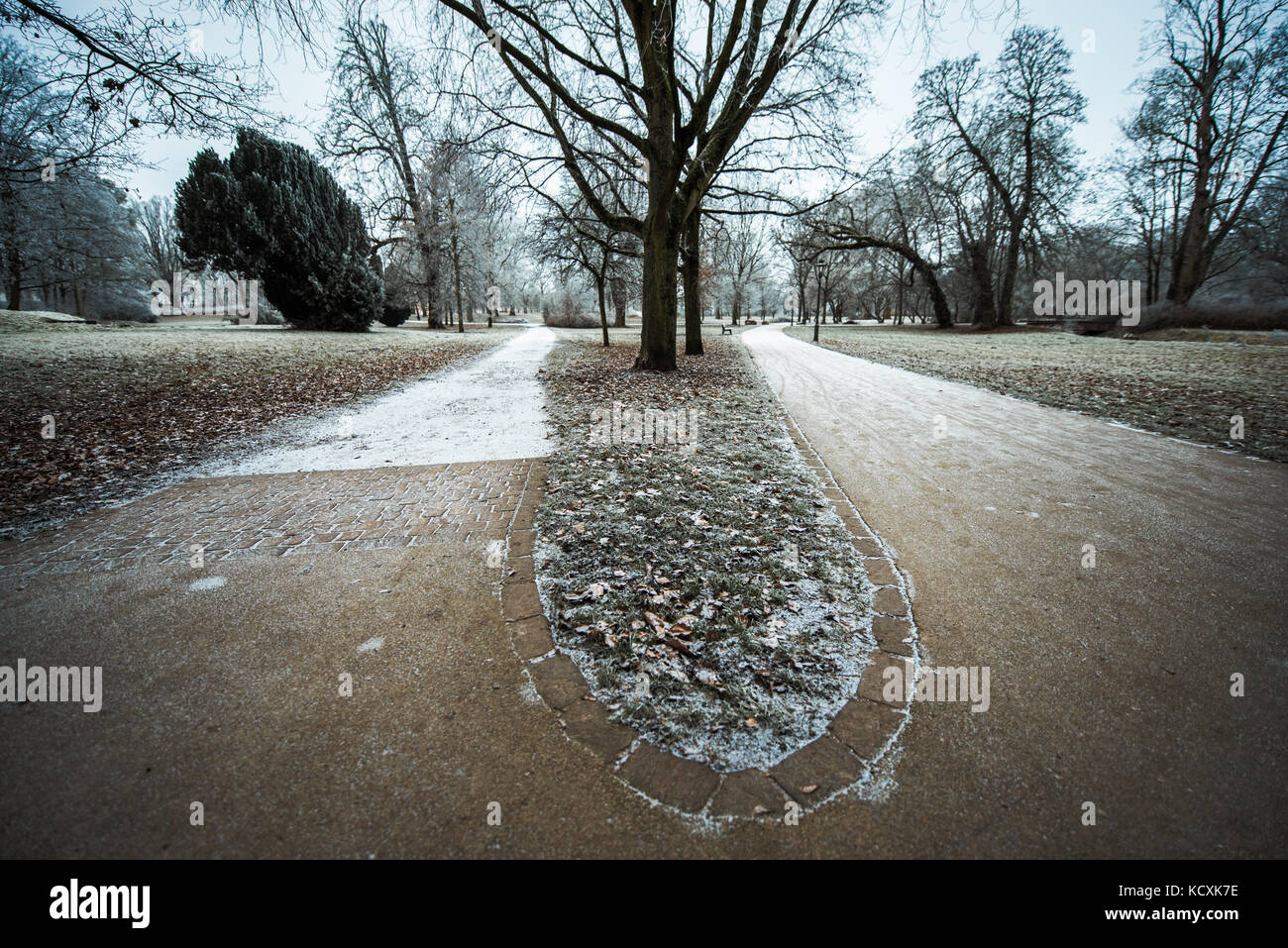Deux chemins d'hiver du parc Banque D'Images