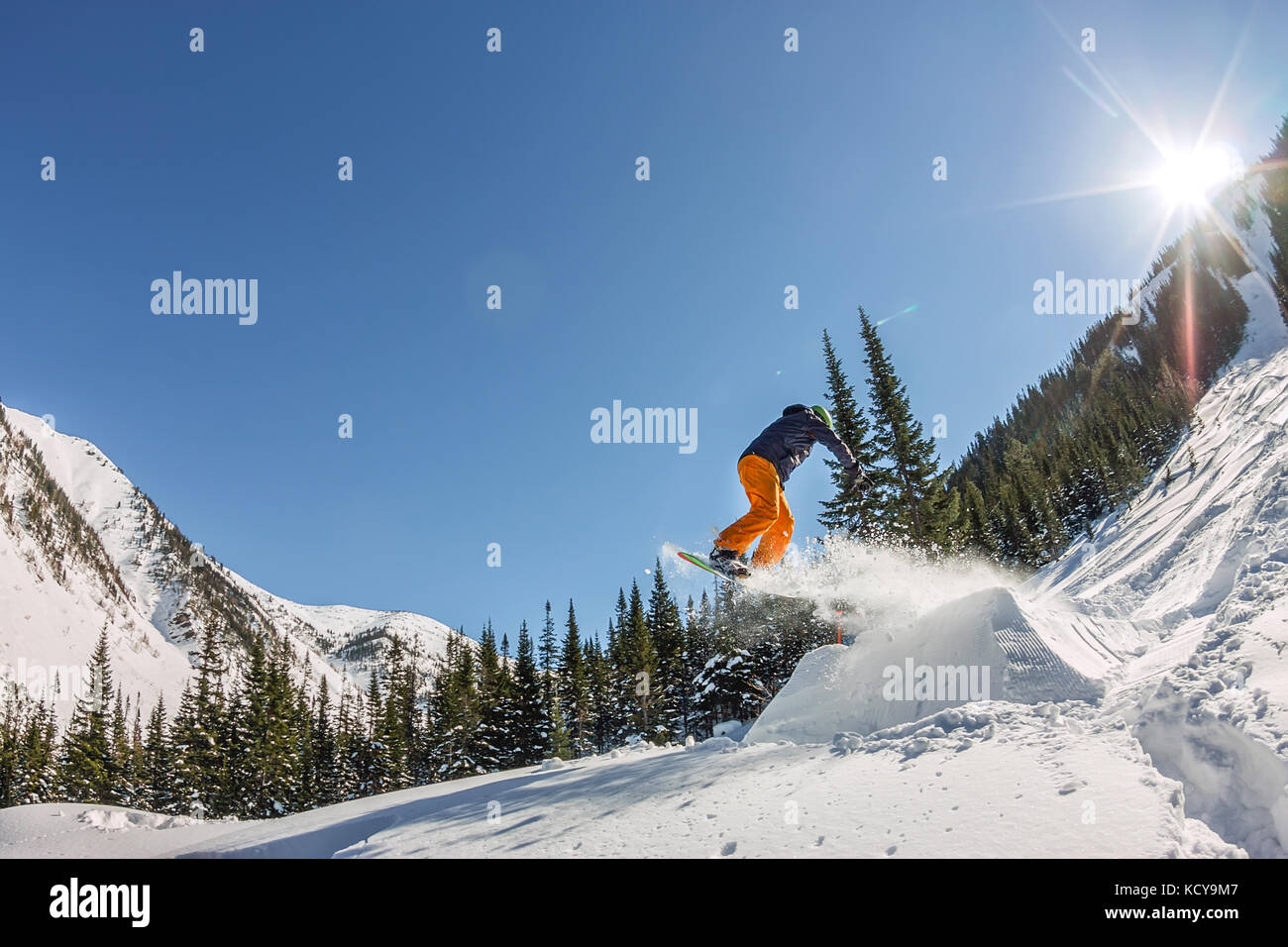 Freerider snowboarder sautant d'une rampe de neige au soleil sur un fond de forêt et montagnes. Banque D'Images