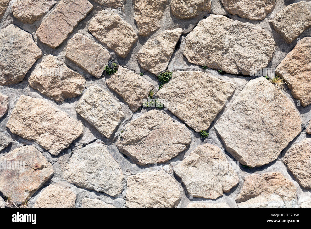 Mortier en pierre rustique et la texture du mur avec les mauvaises herbes poussant dans les fissures Banque D'Images