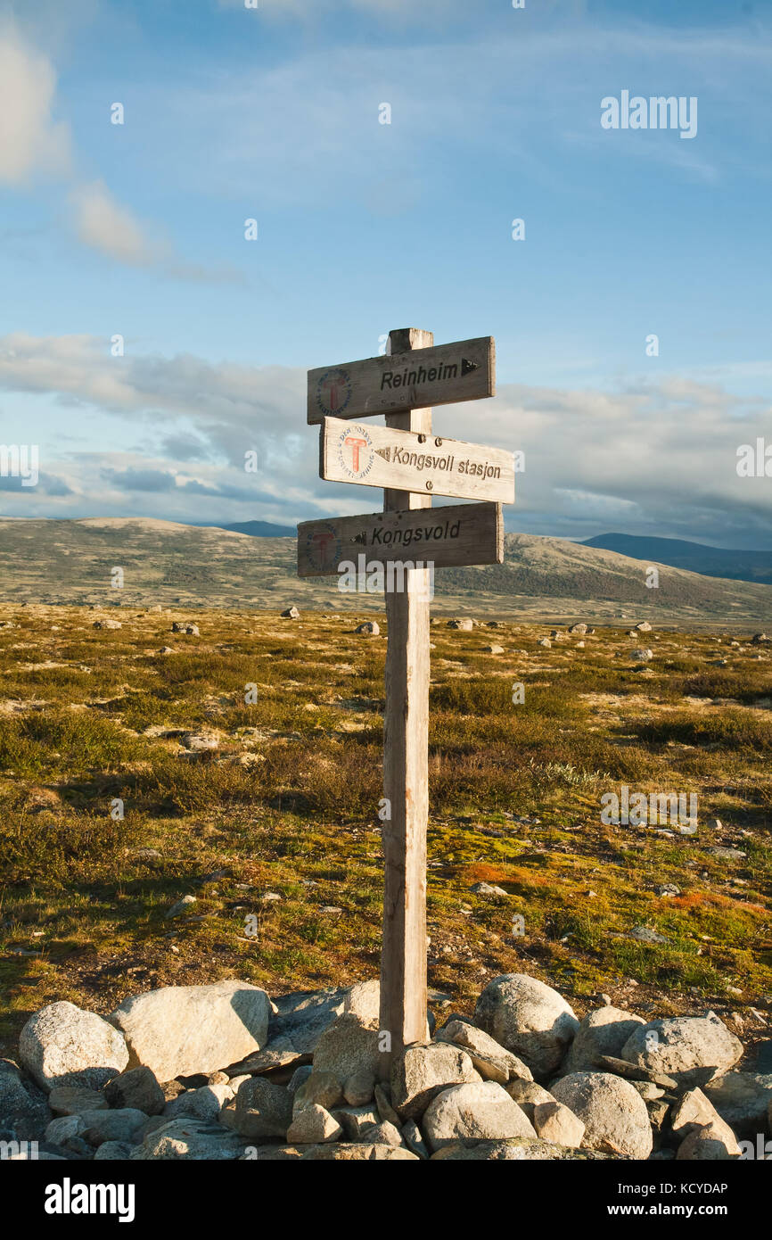 Le parc national de dovrefjell sunndalsfjella en Norvège, un paysage Banque D'Images
