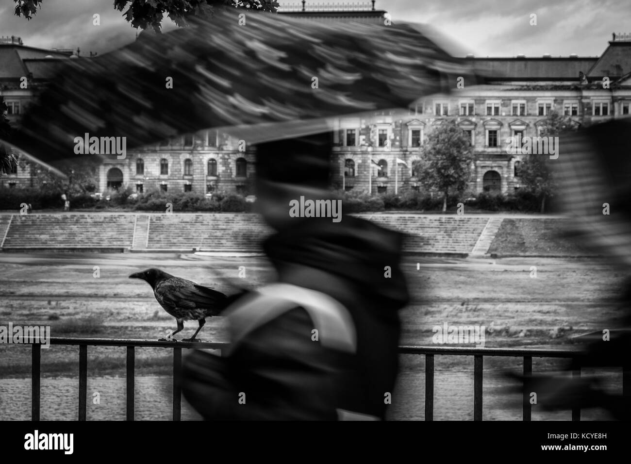 Vue sur la ville de Dresde en Allemagne de l'est sur un jour de tempête automne octobre avec l'saechsisches Staatsministerium für kultus en arrière-plan et deux peopl Banque D'Images