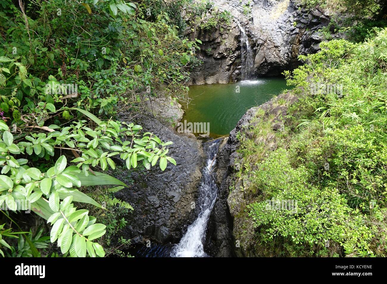 Chutes d'eau le long du sentier à Pipiwai Waimoku falls, Kipahulu Banque D'Images