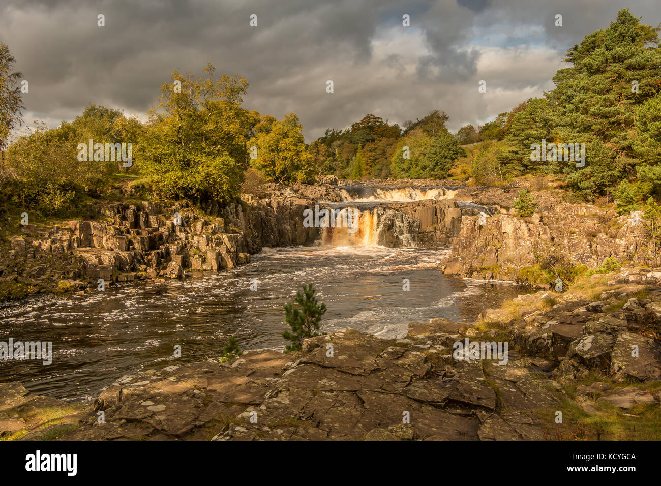 Paysage de Teesdale, couleurs d'automne et d'éclairage à faible force dramatique en cascade sur la Rivière Tees, Teesdale, UK Octobre 2017 Banque D'Images