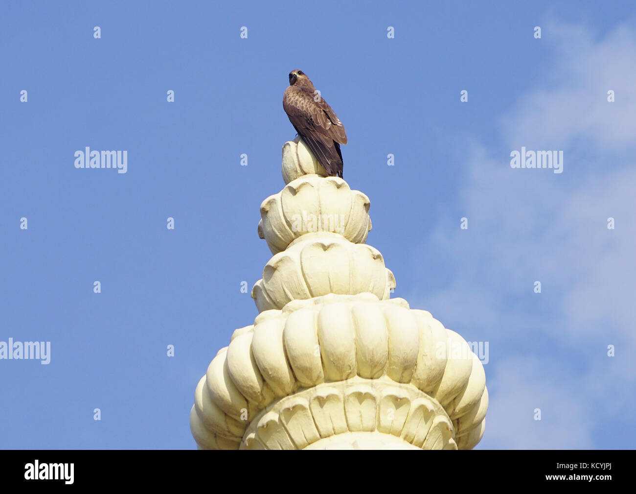 Un cerf-volant assis sur le haut du dôme d'un temple Banque D'Images