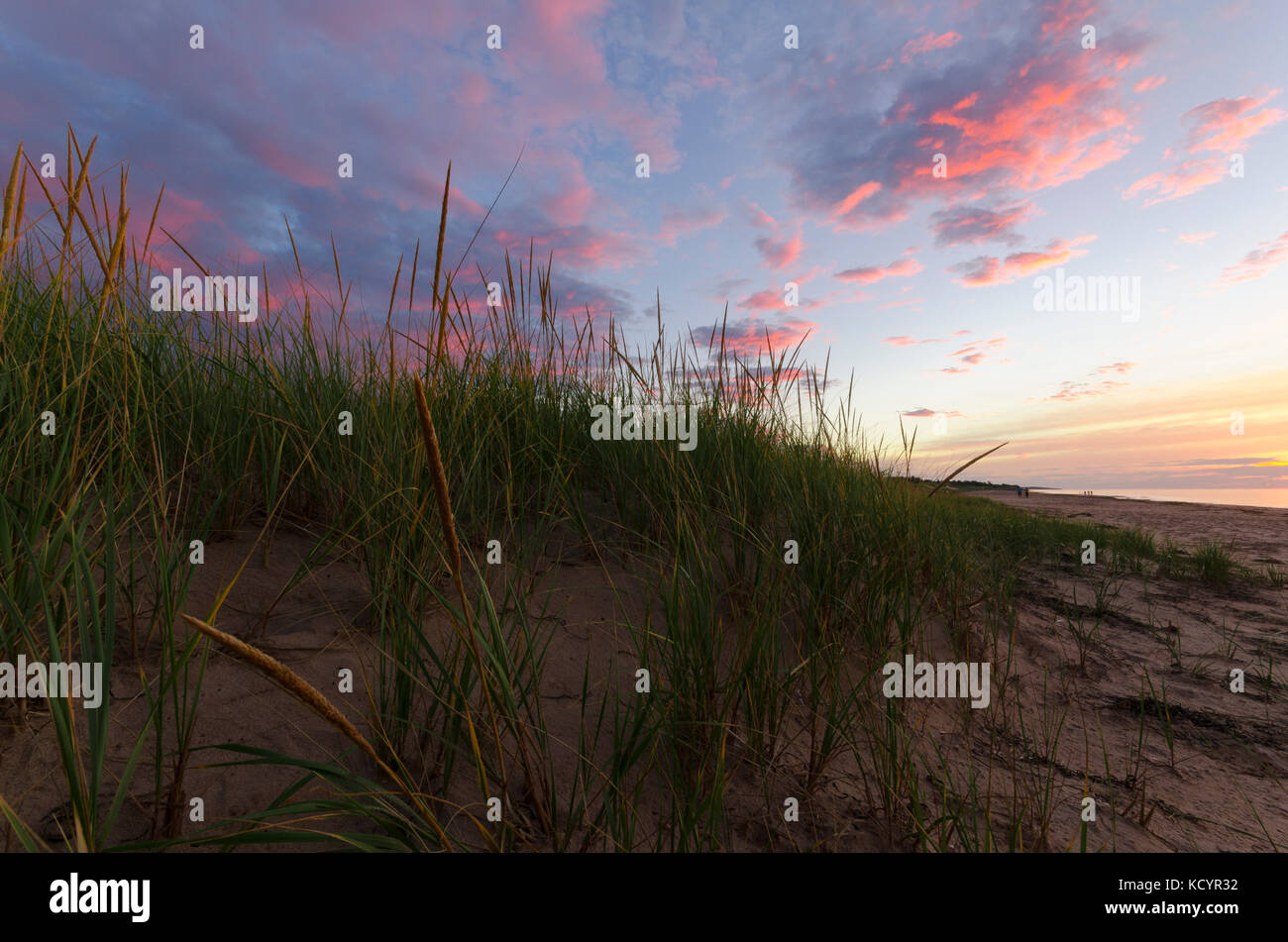 L'ammophile, plage, espèce d'ammophila, coucher de soleil, lac, Prince Edward Island, canada Banque D'Images